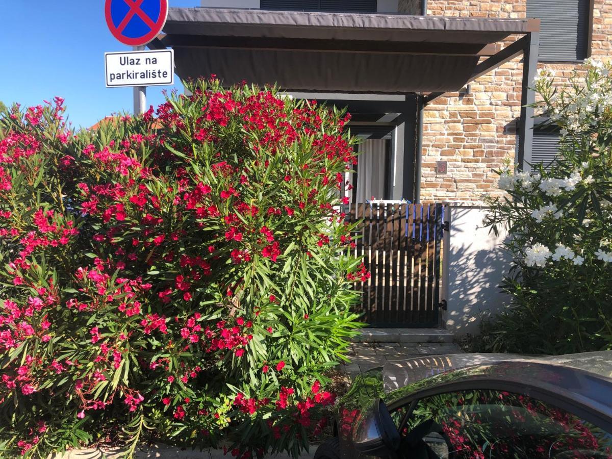 Apartment Petrovic Medulin Exterior photo
